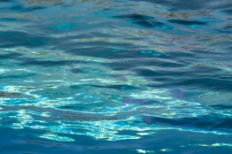 The Waters of Growth