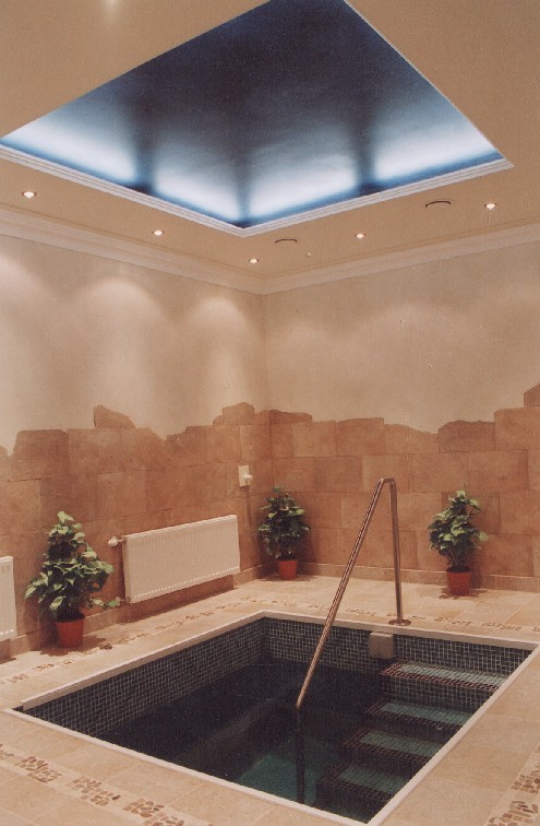 Mikvah Mei Menachem