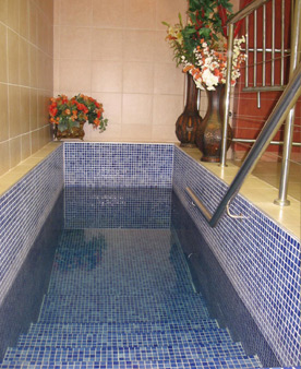 Mikvah Mei Menachem